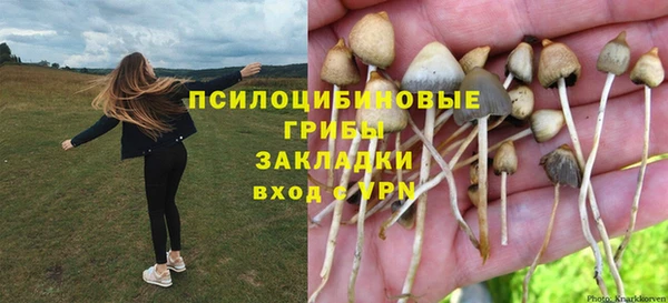 mix Елизово